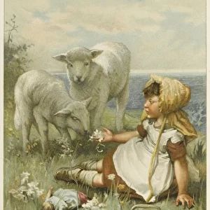 Girl and Lambs