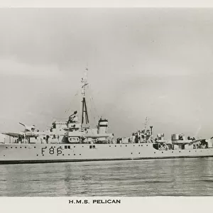 H. M. S. Pelican (F86) - Egret-class sloop