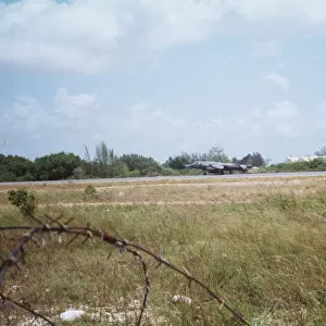 Harrier at Belize