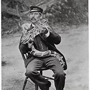 Head Keeper with Snake at London Zoo 1896
