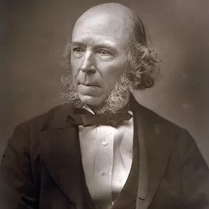 Herbert Spencer / 1888 Pho
