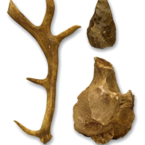 Hoxnian anters, bones & hand axe from Swanscombe