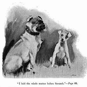 Illustration by Cecil Aldin, Spot and a bulldog have a chat