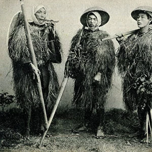 Three Japanese farmers