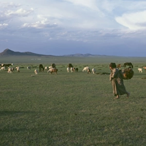 Landscape at Burd, Mongolia