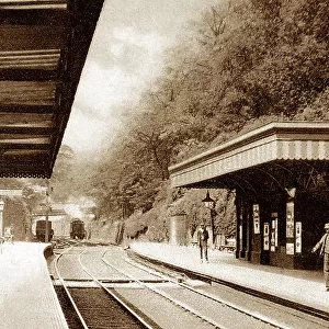 Newcastle under Lyme Railway Station early 1900s