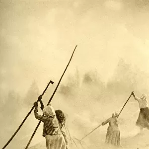 Peasant women burning forest debris, Finland