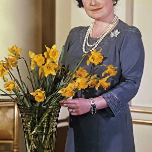 Queen Mother arranging a vase of daffodils