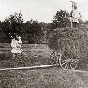 Russian peasants making hay, Russia, circa 1890