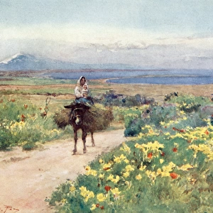 Sicily / Scenery 1911