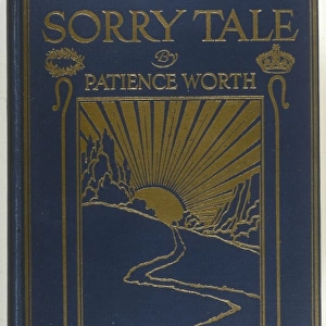 THE SORRY TALE