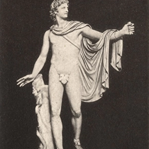 Statue of Apollo - The Vatican, Italy