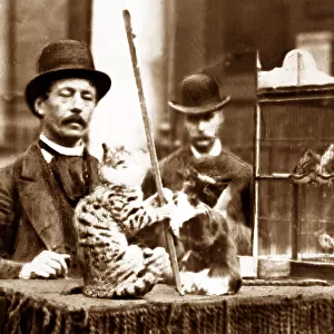 Street entertainer with performing cats, Victorian period