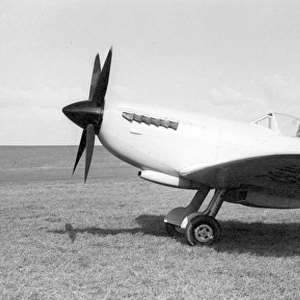 Supermarine Spitfire VIII MT818 after conversion