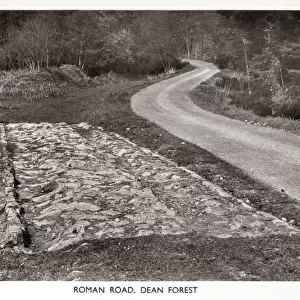 A surviving section of Roman Road in the Forest of Dean