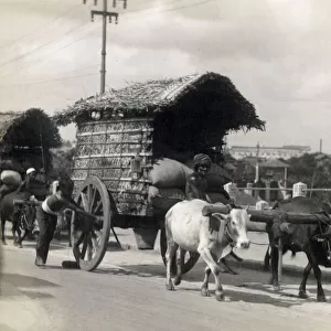 Traditional Transportation - Covered Ox Cart - Colombo, Sri Lanka. Date: 1928