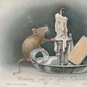 Victorian Greeting Card - Inquisitive Mouse