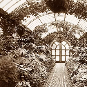Welbeck Abbey Palm House