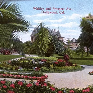 Whitley and Prospect Avenue, Hollywood, California, USA