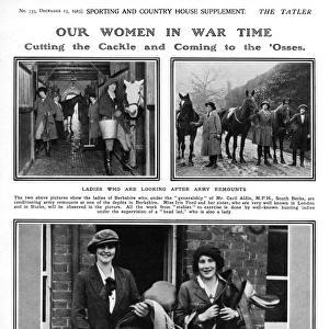 Our Women in War Time - ladies looking after army remounts