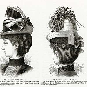 Women wearing victorian headwear 1886
