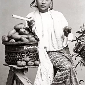 Young Burmese woman with mangoes, Burma