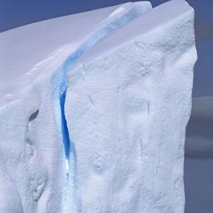 Icebergs in Girard Bay, South end of Lemaire Channel Antarctic Peninsula, December JPF42850