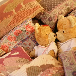 Teddy Bear - x2 teddies in bed