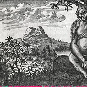 African primate, 17th century C013 / 7759