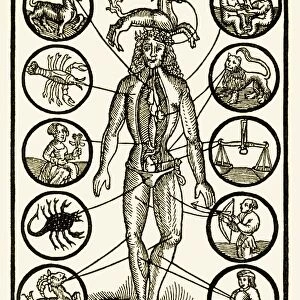 Astrology and medicine, artwork
