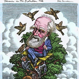 Charles Darwin in his evolutionary tree