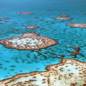 Great Barrier Reef, Australia C018 / 1804