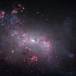 Irregular galaxy NGC 4449, Hubble image C017 / 3746