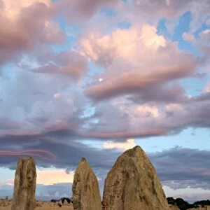 Limestone pinnacles at dusk, Australia