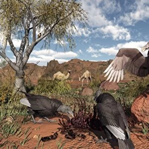 Pleistocene black vultures, artwork