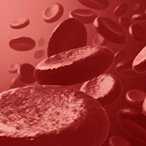 Red blood cells, artwork F007 / 0033