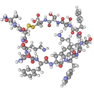 Somatostatin hormone molecule