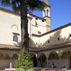 Ancient cedar tree in the Sant Antonino Cloister, by Michelozzo, Convent of San Marco
