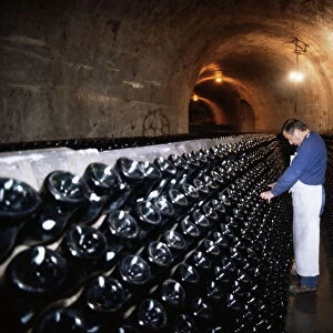 Champagne wine cellar, Reims, Champagne, Ardennes, France, Europe
