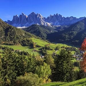 Colorful autumn trees frame the group of Odle and the village of St. Magdalena, Funes Valley