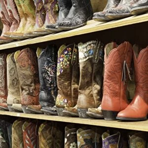 Cowboy boots lining the shelves, Austin, Texas, United States of America, North America