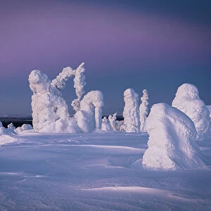 Ice sculptures at dusk, Riisitunturi National Park, Posio, Lapland, Finland
