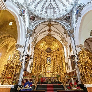 Interior of Iglesia San Francisco, Cordoba, Andalusia, Spain, Europe