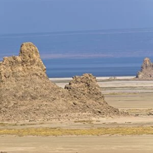Lac Abbe (Lake Abhe Bad) with its chimneys, Republic of Djibouti, Africa