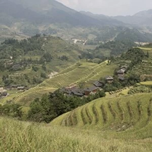Longsheng terraced ricefields, Guilin, Guangxi Province, China, Asia