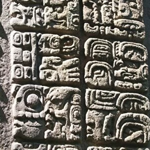 Mayan stela at Quirigua Archaeological Park, UNESCO World Heritage SIte, Guatemala, Central America