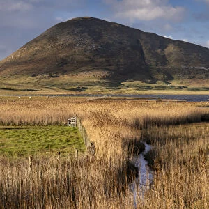 Northton Reed Beds backed by Ceapabhal, near Scarista, Isle of Harris, Outer Hebrides
