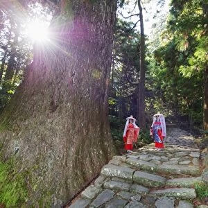 Pilgrims on Daimon-zaka Nachi tokaido pilgrimage route, UNESCO World Heritage Site, Wakayama Prefecture, Honshu, Japan, Asia