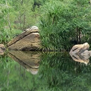 Reflections of rocks and Pandanus species in the waters of Jim Jim Creek in Kakadu National Park