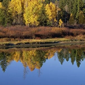 Reflections in Snake River, Grand Tetons National Park, Wyoming, United States of America
